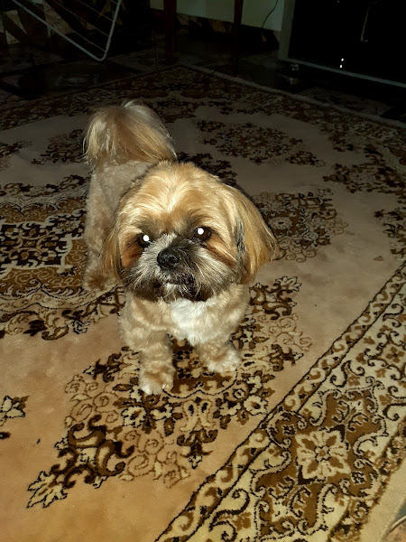 Foto 3 AgroPet Calais