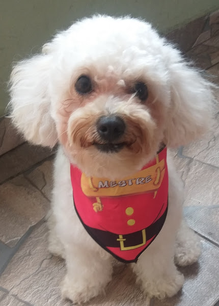 Foto 4 Love Pet Campinas Banho, Tosa, Rações e Acessórios.