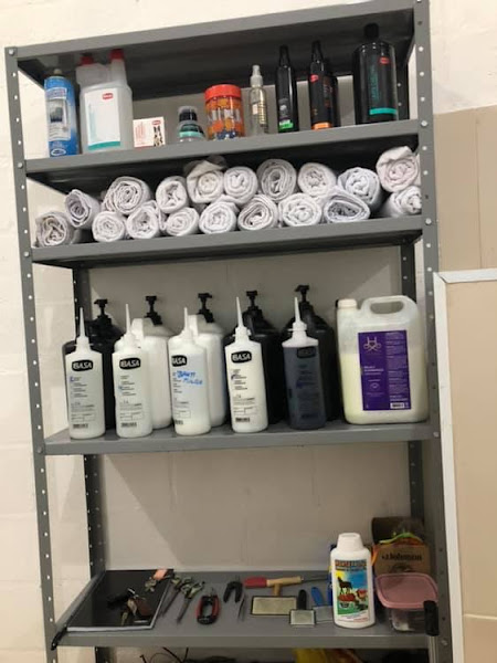 Foto 2 Agro Três Irmãos