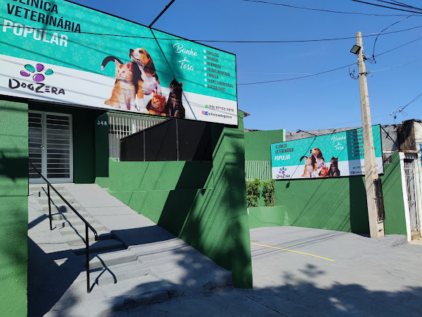 Dogzera Clínica Veterinária Pupular Dogzera Clínica Veterinária Pupular