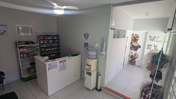 Foto 2 Dogzera Clínica Veterinária Pupular