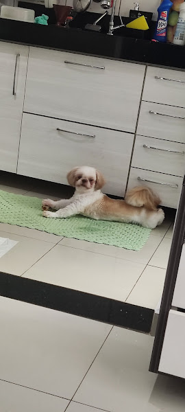 Foto 3 Agrobel Pet Campos Elíseos