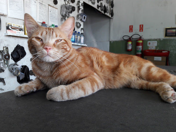 Foto 1 Rasec cambios