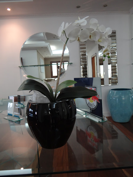 Foto 3 Vidrobras - Professional