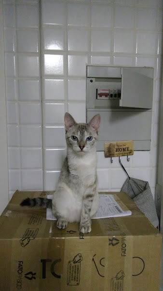 Foto 1 Clivecam – Clínica Veterinária Campinas