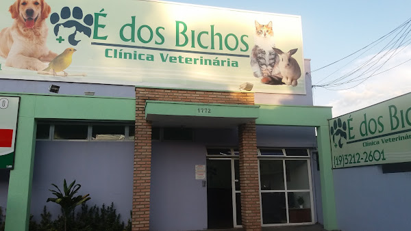 Foto 1 Clínica Veterinária É Dos Bichos
