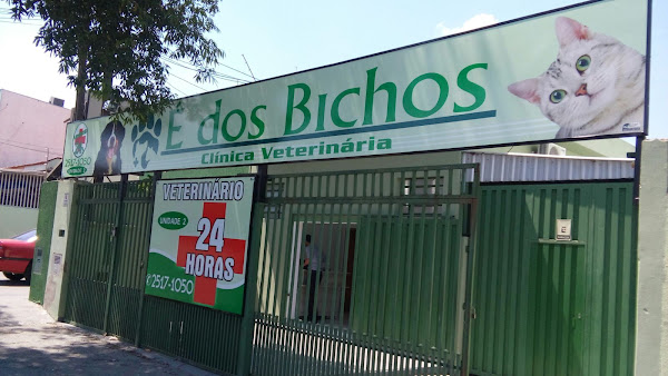 Foto 2 Clínica Veterinária É Dos Bichos