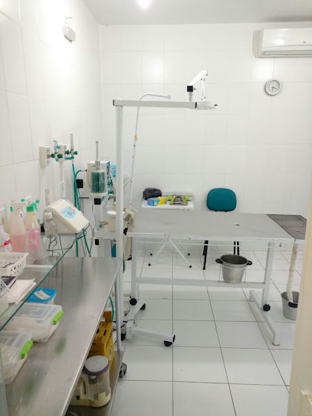 Foto 1 Cat & Dog e Outros Bichos Clínica Veterinária 24 horas