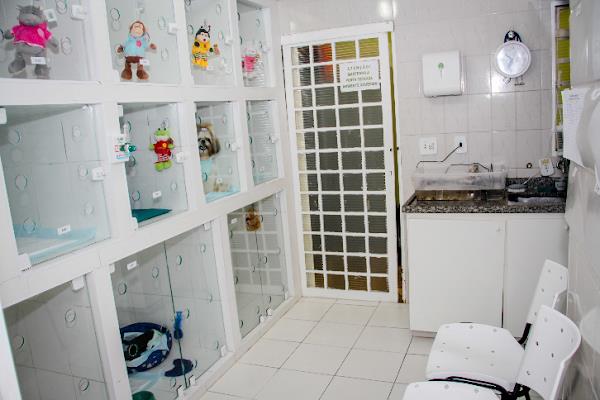 Foto 2 Cat & Dog e Outros Bichos Clínica Veterinária 24 horas