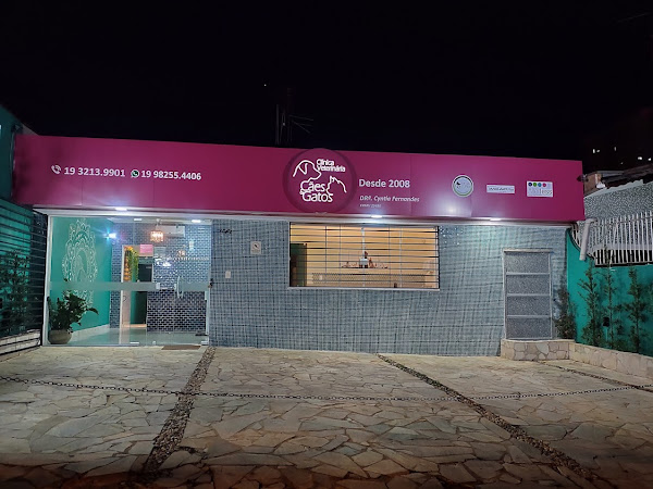 Foto 1 Clinica Veterinaria Cães & Gatos Dra Cyntia Fernandes