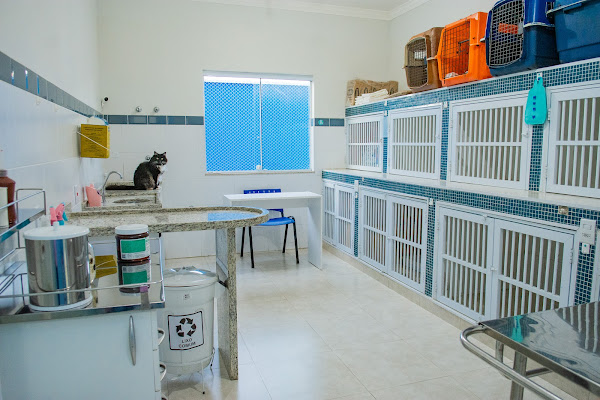 Foto 2 Clínica Veterinária Saude Animal