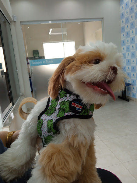 Foto 3 Clínica Veterinária Saude Animal