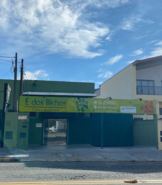 Foto 1 Atendimento Veterinário 24 Horas Campinas Clínica É dos Bichos
