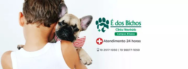 Foto 2 Atendimento Veterinário 24 Horas Campinas Clínica É dos Bichos