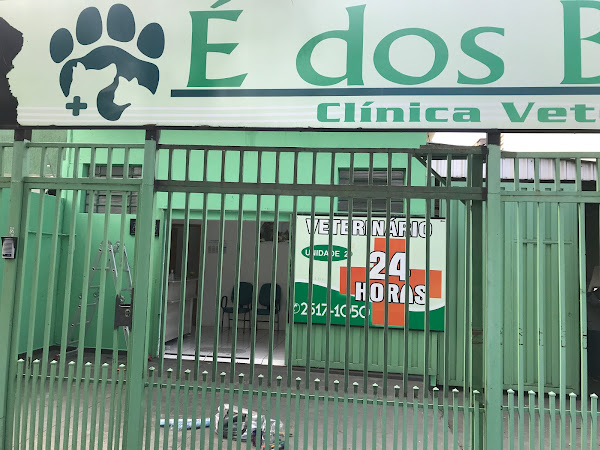 Foto 3 Atendimento Veterinário 24 Horas Campinas Clínica É dos Bichos