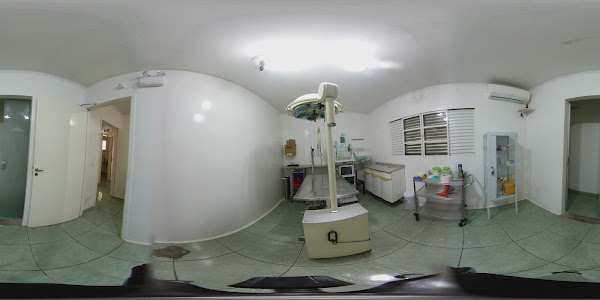 Foto 3 CLÍNICA VETERINÁRIA - VETERINÁRIO