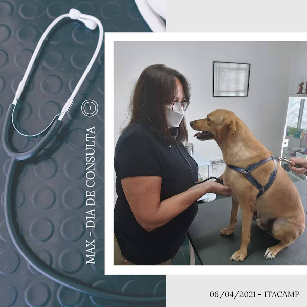 Itacamp Clínica Veterinária