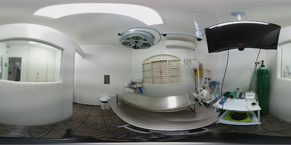 Foto 2 Au Au Center Clínica Veterinária Campo Grande