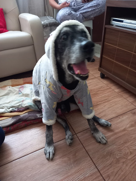 Foto 1 Zello Clínica Veterinária