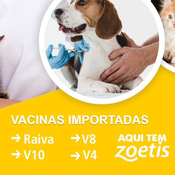 Foto 2 Zello Clínica Veterinária