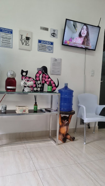 Foto 2 Clínica Veterinária