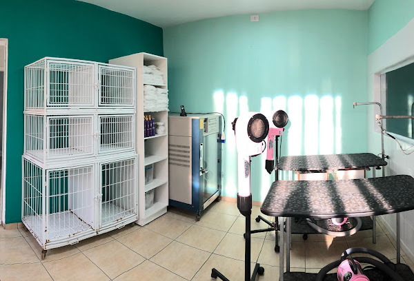 Foto 1 ?? Pet Luz Clínica Veterinária | Clínica Veterinária Campinas