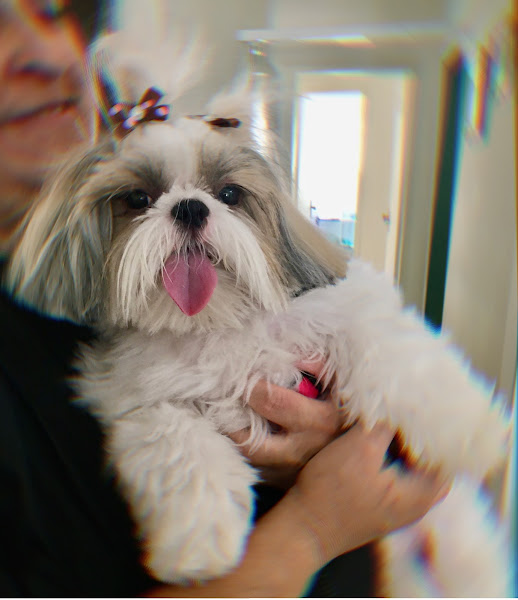 Dra's Pet - Clínica Veterinária