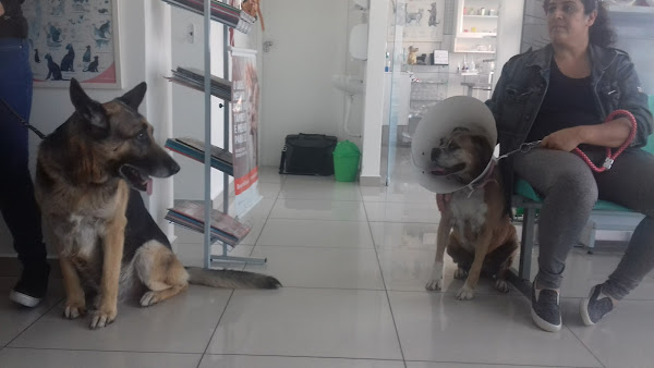 Foto 1 Clínica Veterinária Alexandra Pavanello
