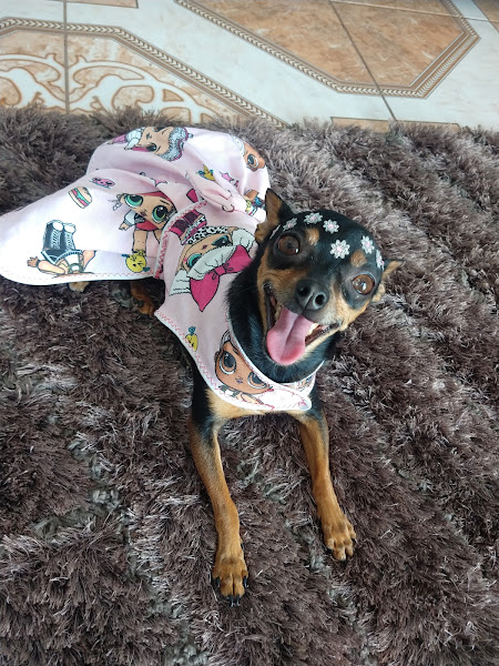 Foto 2 Clínica Veterinária Alexandra Pavanello