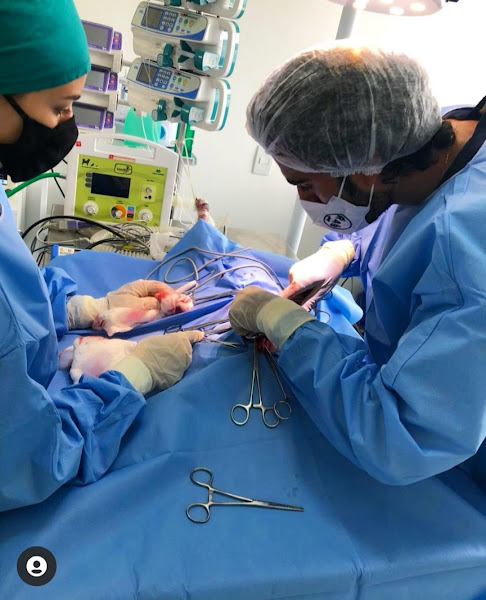 Foto 2 Rab Clínica Veterinária