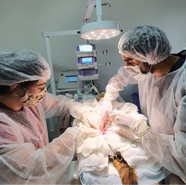 Foto 3 Rab Clínica Veterinária