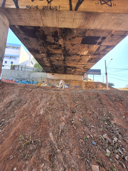 Foto 1 Vet Candy Clínica Veterinária