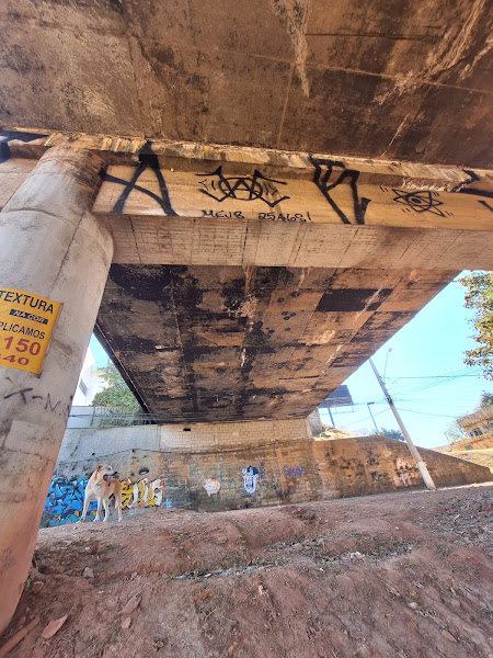 Foto 3 Vet Candy Clínica Veterinária