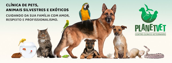 Centro Clínico Veterinário Planetvet - Clínica Veterinária 24 horas Campinas