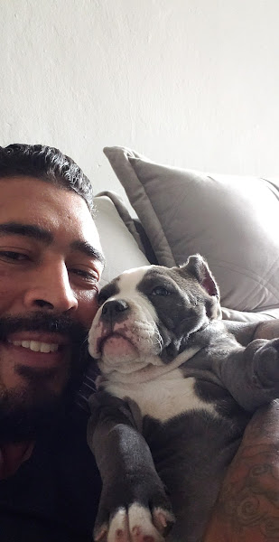 Foto 1 Florencevet Veterinária