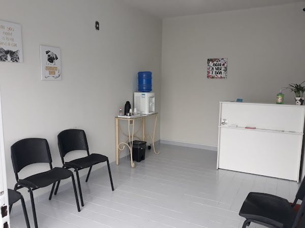 Foto 2 Vet Bandeiras