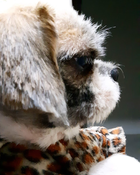 Foto 1 S.O.S Merkvet