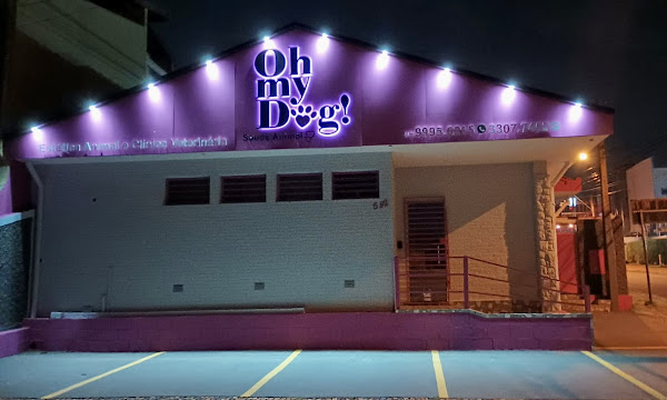 Foto 1 Oh my DOG Saúde Animal