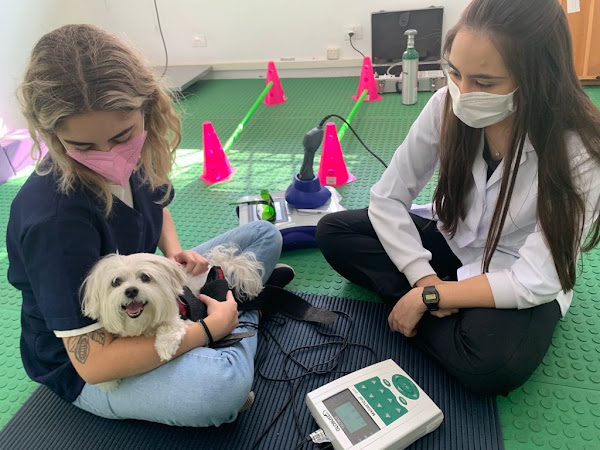 Santé Vie Vet - Centro de Fisioterapia e Bem-estar Animal