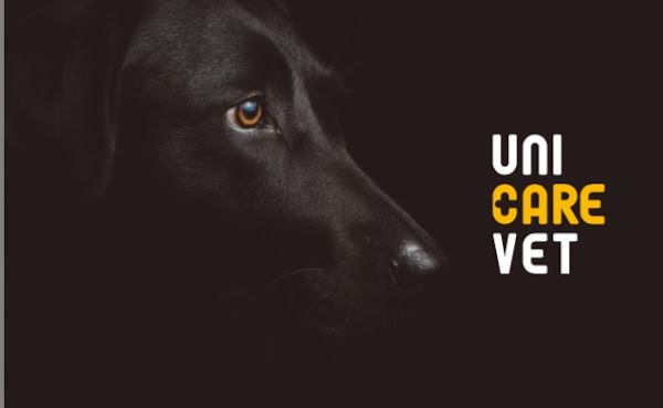 UniCare Vet Especialidades Veterinárias