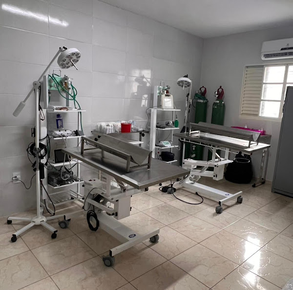 Operação Animal - Equipe de Castração