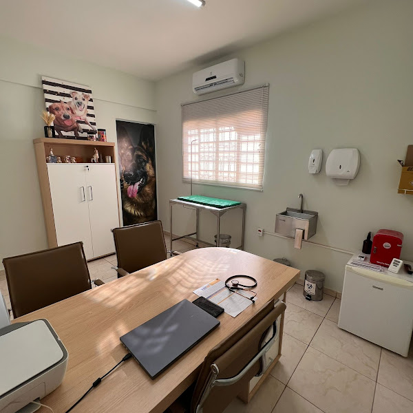 Foto 4 Operação Animal - Equipe de Castração Foto 4 Operação Animal - Equipe de Castração