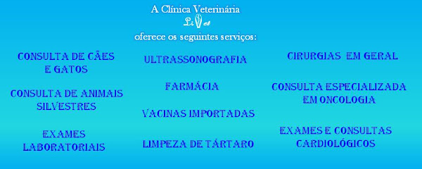 Foto 2 Clínica Veterinária LiVet