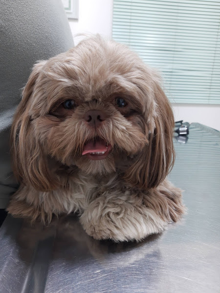 Foto 1 Centro Veterinário Estados Unidos