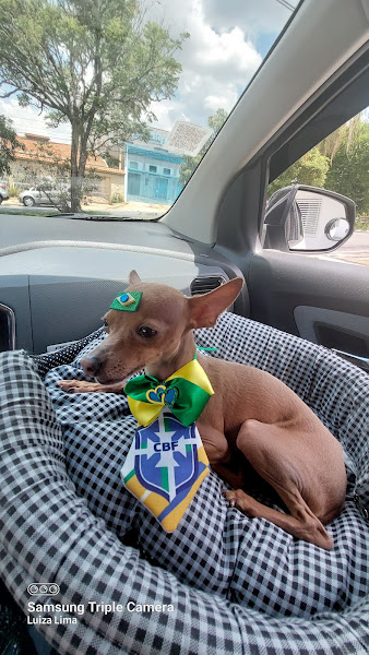 Foto 3 Centro Veterinário Estados Unidos