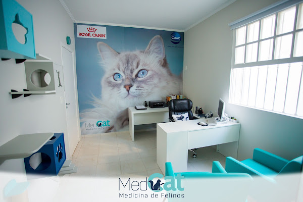 MedCat - Medicina de Felinos