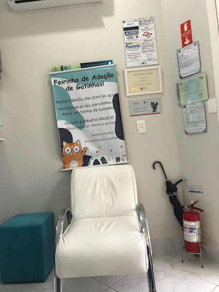 Foto 3 MedCat - Medicina de Felinos Foto 3 MedCat - Medicina de Felinos