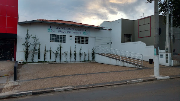 ClinFel - Medicina Felina