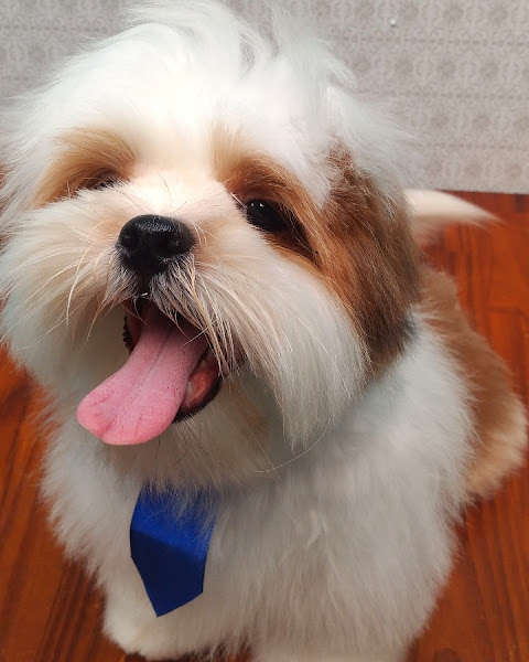 Foto 3 Spaço Banho&Tosa (Mundial rações)