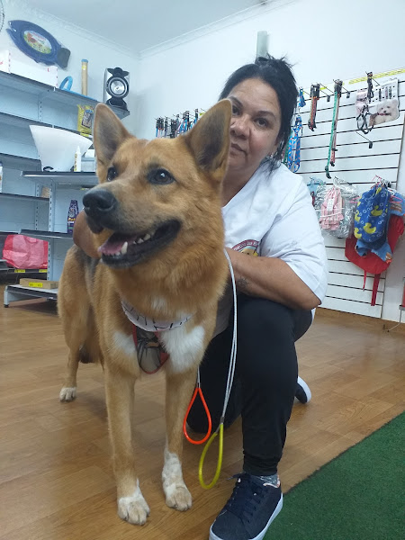 Foto 1 Agropet Barão